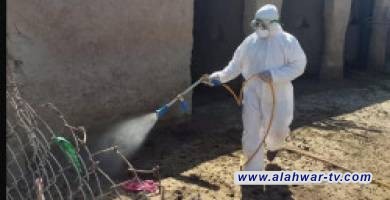 استمرار ارتفاع إصابات ووفيات الحمى النزفية في ذي قار وتحذيرات من تفشي المرض